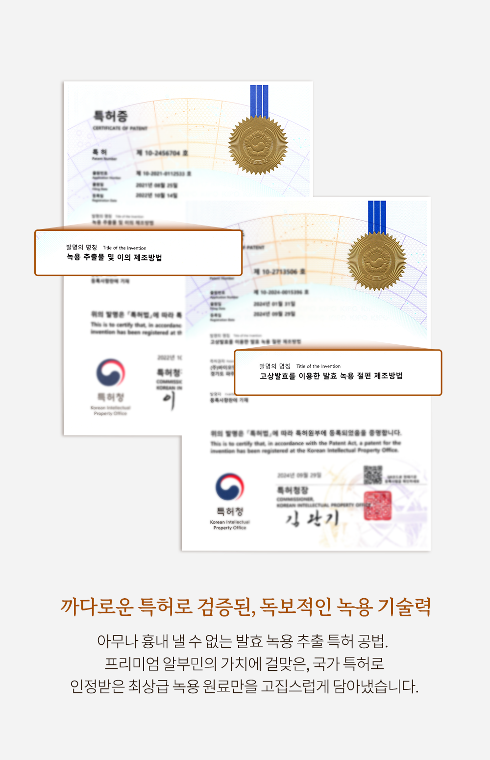 특허